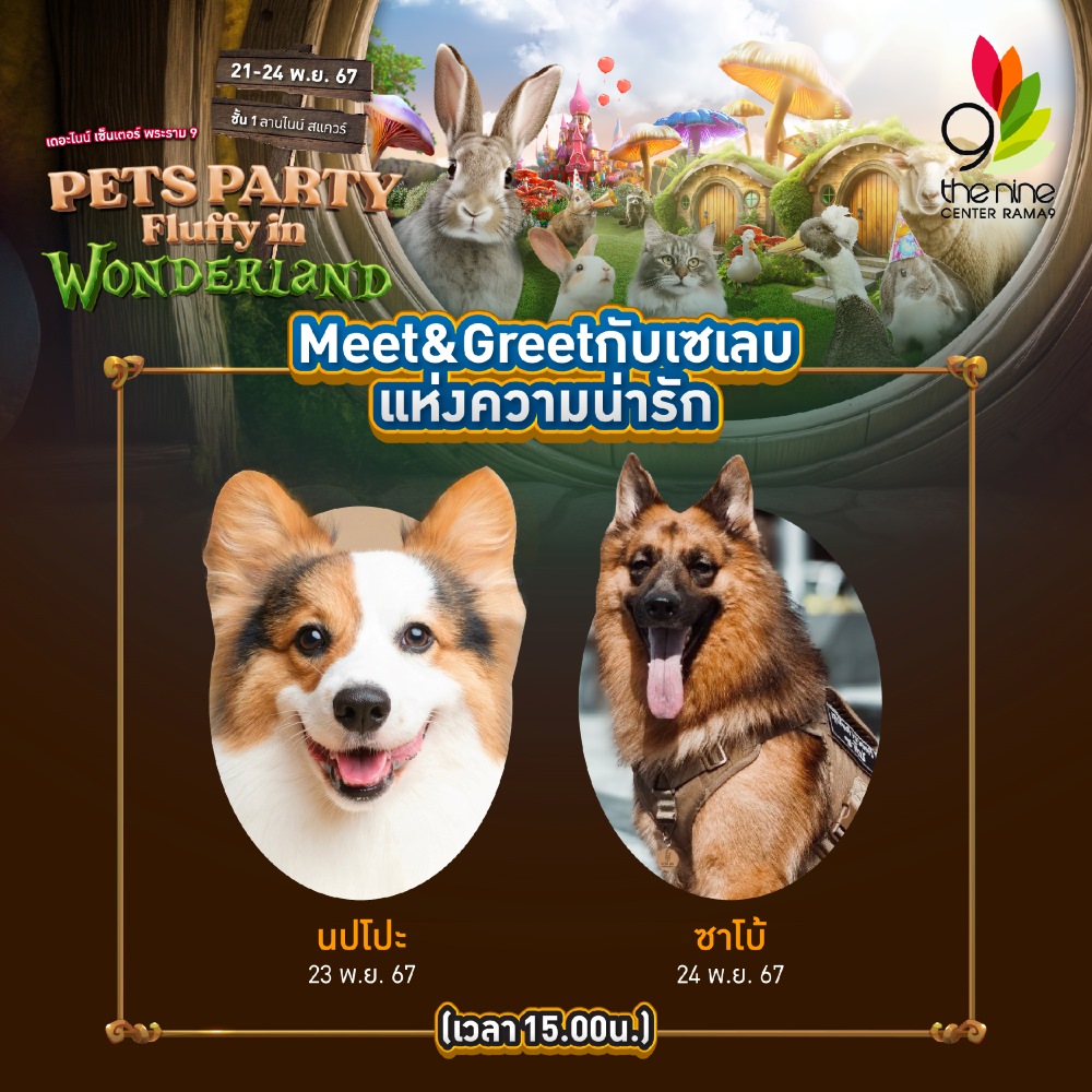 Meet and Greet Pet Party Fluffy in Wonderland
