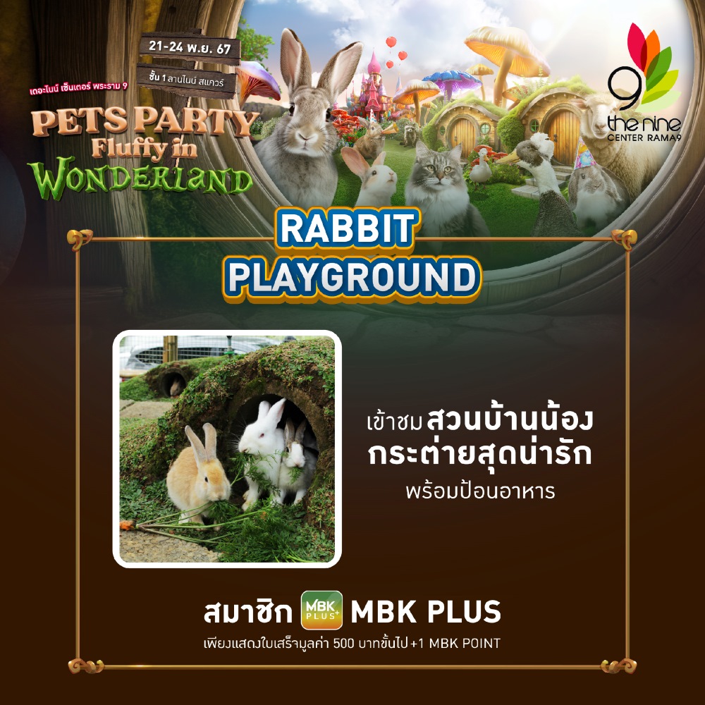 Rabbit Playground Pet Party Fluffy in Wonderland
