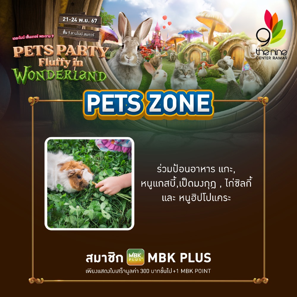 Pet Zone Pet Party Fluffy in Wonderland