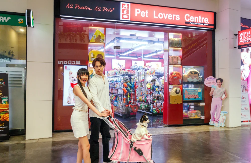 ร้านค้าที่ต้อนรับสัตว์เลี้ยง