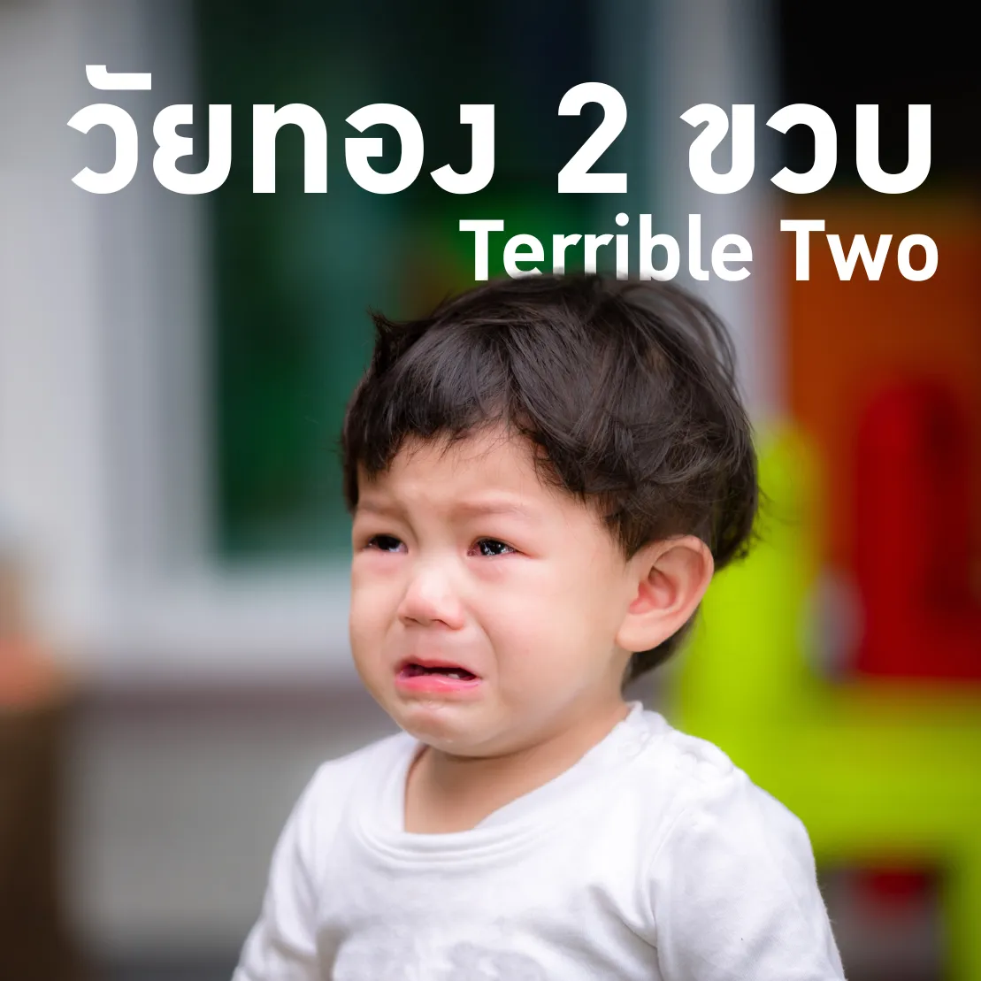 วัยทอง 2 ขวบ – เข้าใจพฤติกรรมเด็กวัยซน เพื่อพัฒนาเป็นเด็กดี
