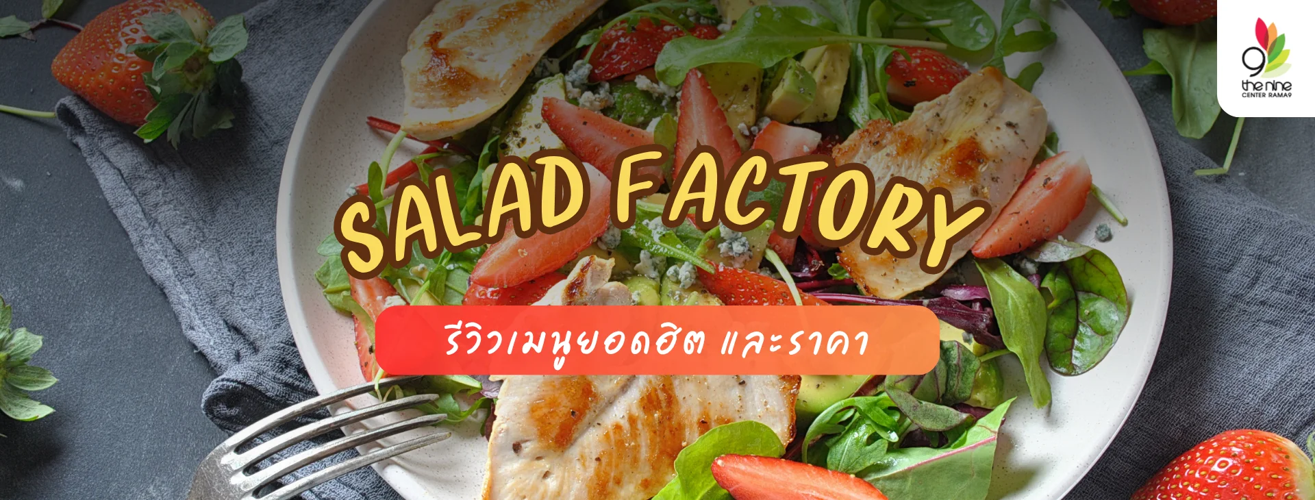 Salad Factory สวรรค์ของคนรักสลัดและอาหารสุขภาพ
