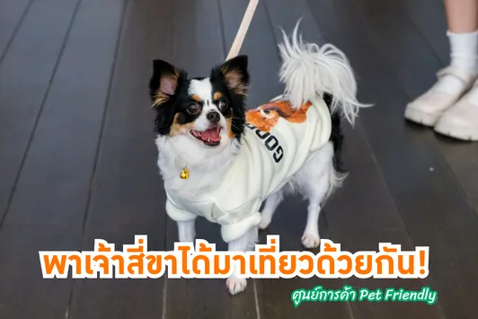 เปิดโลกให้น้องหมาแมวได้มาเที่ยวด้วยกัน!