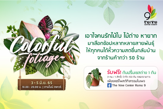 เอาใจคนรักไม้ใบ ไม้ด่าง ชวนมาเลือกช้อปไม้ด่างในงาน Colorful Foliage