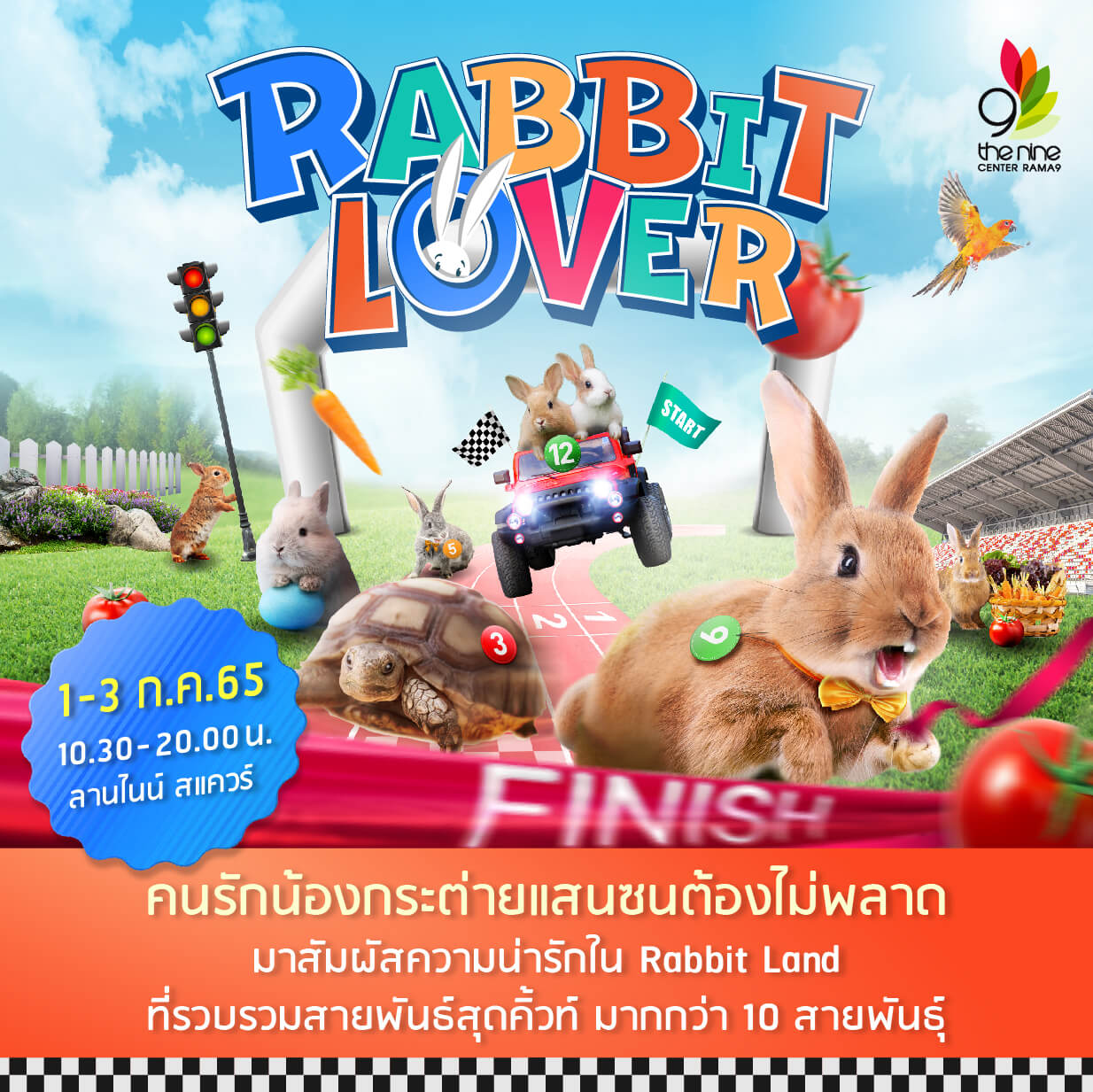 RABBIT LOVER เนรมิตดินแดนกระต่ายพันธุ์สวย ลุ้นการแข่งขัน 