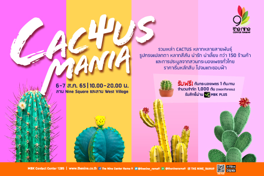 เอาใจคนรักต้นกระบองเพชร พบกับการรวมเหล่าแคคตัสหลากหลายสายพันธุ์ ในงาน Cactus Mania