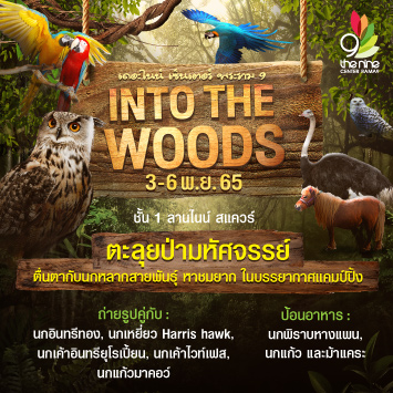 เดอะไนน์ เซ็นเตอร์ พระราม 9 ชวนครอบครัวมาตะลุยป่ามหัศจรรย์ ตื่นตากับนกหลากพันธุ์ ในงาน INTO THE WOODS
