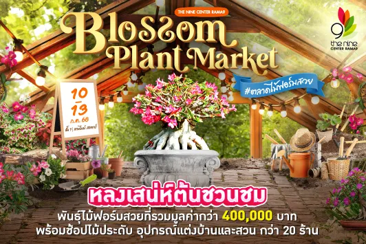 Blossom Plant Market #ตลาดไม้ฟอร์มสวย