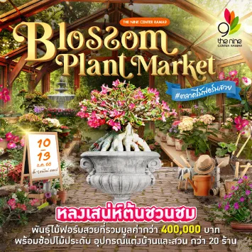 Blossom Plant Market #ตลาดไม้ฟอร์มสวย