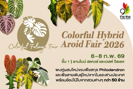 Colorful Foliage Fair "Colorful Hybrid Aroid Fair 2026"
